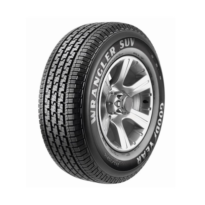 Pneu Goodyear Wrangler Fortitude HT 215/70R16 100H